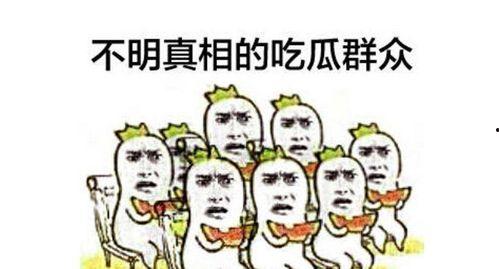 后排的吃瓜 群众,揭秘娱乐圈幕后风云