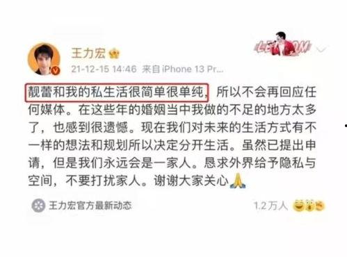2022年吃瓜实录,年度瓜王争霸战