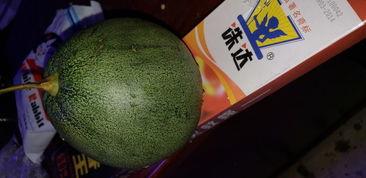 瓜萎皮怎样吃,传统食材的现代食法