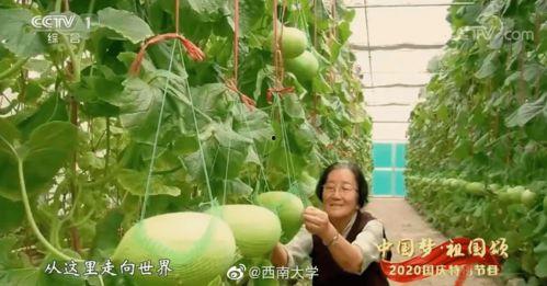 毛不易自由吃瓜基地,揭秘音乐才子背后的娱乐生活