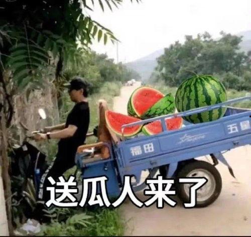 车祸吃瓜文案短句,真相与谣言的较量