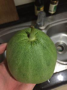 脆宝瓜怎么吃,解锁美味新体验