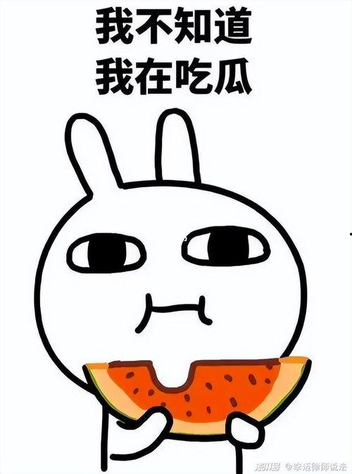 吃瓜叮当群,揭秘网络社交圈的欢乐与争议