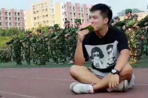 吃瓜群众训练视频,从训练视频看网络围观现象