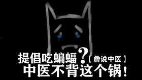 蝙蝠吃瓜视频在线观看,揭秘蝙蝠的独特饮食习惯