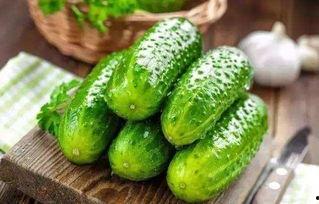 坚持吃瓜寓意着什么,揭秘“坚持吃瓜”的深层寓意