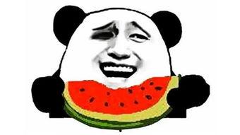 搞笑吃瓜群众笑话,吃瓜群众爆笑笑话大盘点