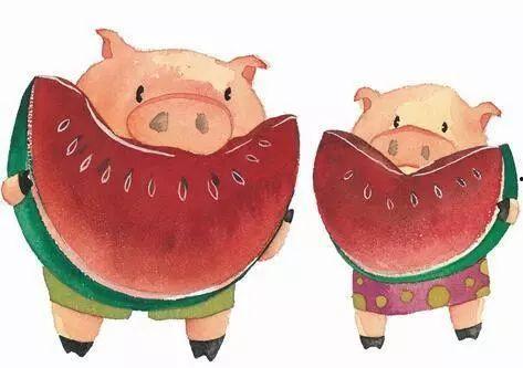 吃瓜多思考,从娱乐八卦中洞察社会现象