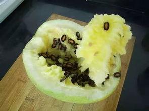 胃热吃籽瓜,籽瓜助你清凉一夏