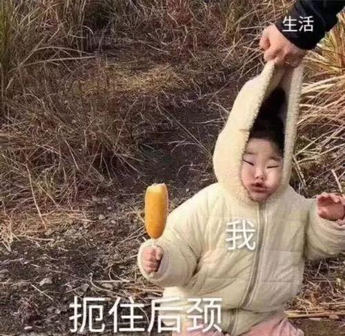 吃瓜系统现代沙雕,现代沙雕文化大揭秘