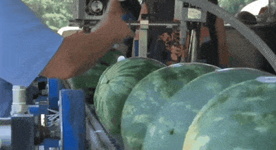 中国吃瓜自由的城市,舌尖上的狂欢与故事