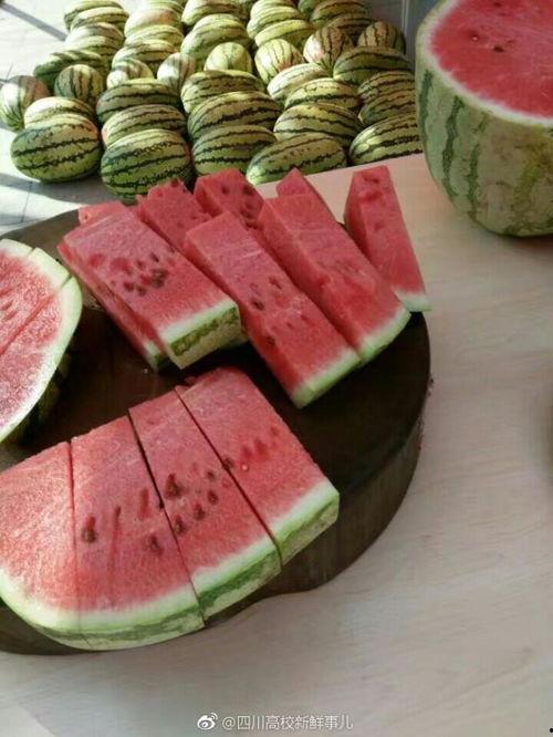 学校门吃瓜,揭秘校园里的那些“秘密”