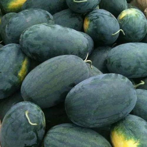 155黑吃瓜,揭秘娱乐圈背后的惊人真相