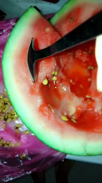 吃瓜运不吐籽,品味生活真滋味