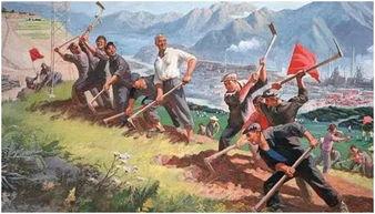 丛林吃瓜视频,吃瓜群众见证奇遇