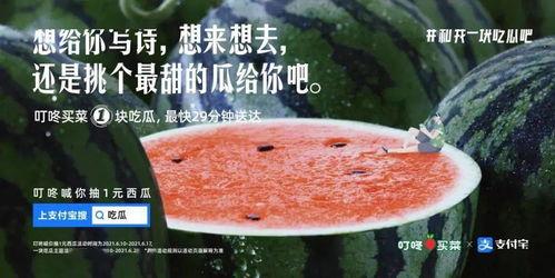 喝酒吃瓜文案,品味瓜香，尽享夏日盛宴